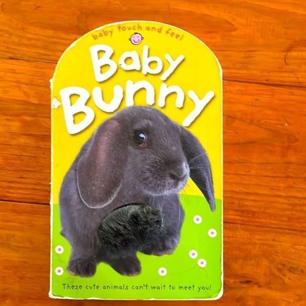 Holly Russell “Baby touch and feel Baby Bunny These cute animals…” book